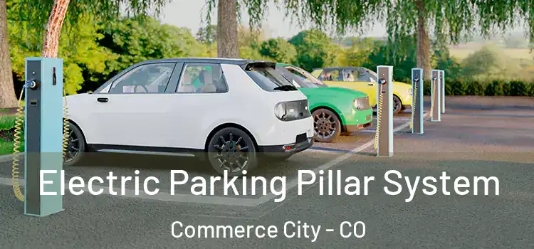  Electric Parking Pillar System Commerce City - CO
