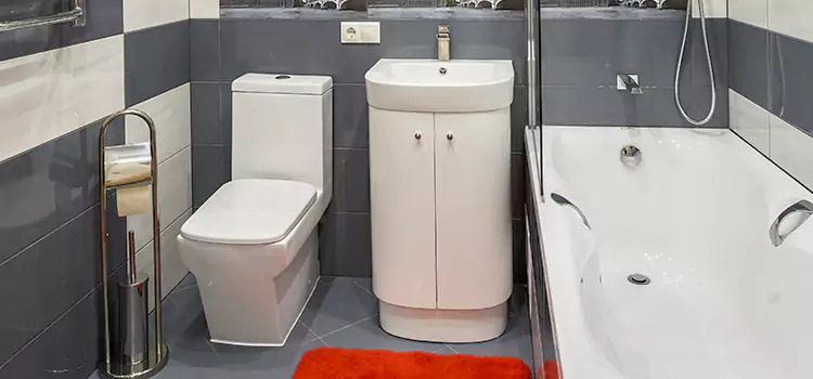 Hansgrohe Shaving Mirror Commerce City
